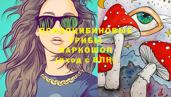 первитин Богородицк