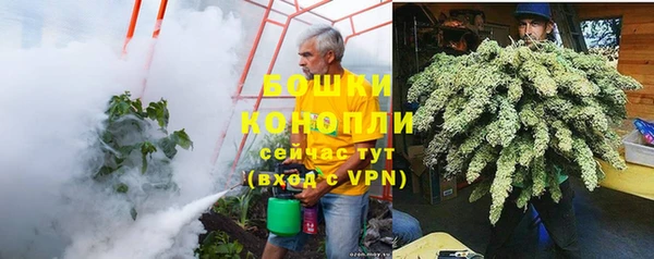первитин Богородицк